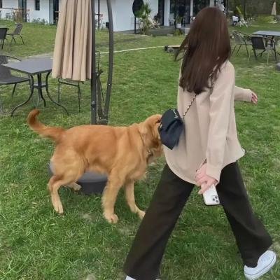 辣手美眉